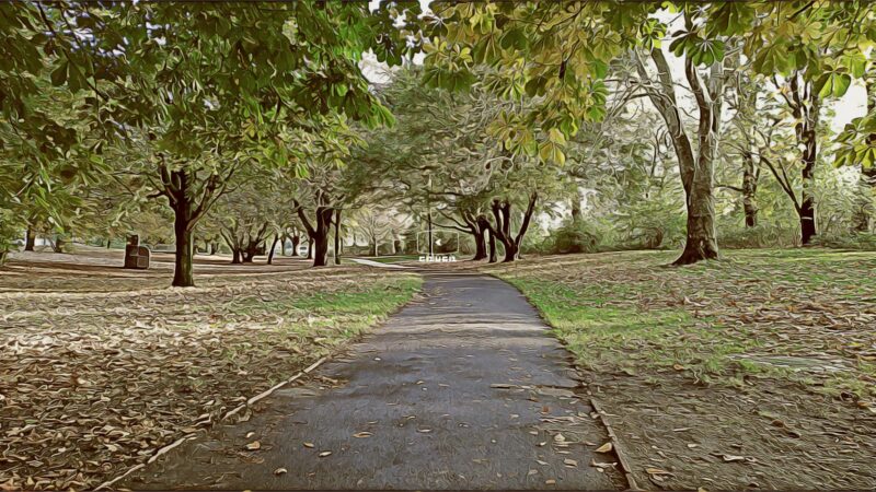 Альстерпарк (Alsterpark) и Тифбункер (Tiefbunker) — два примечательных объекта в Гамбурге