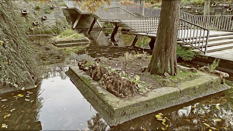 Гамбургский ботанический сад (Botanischer Garten Hamburg)