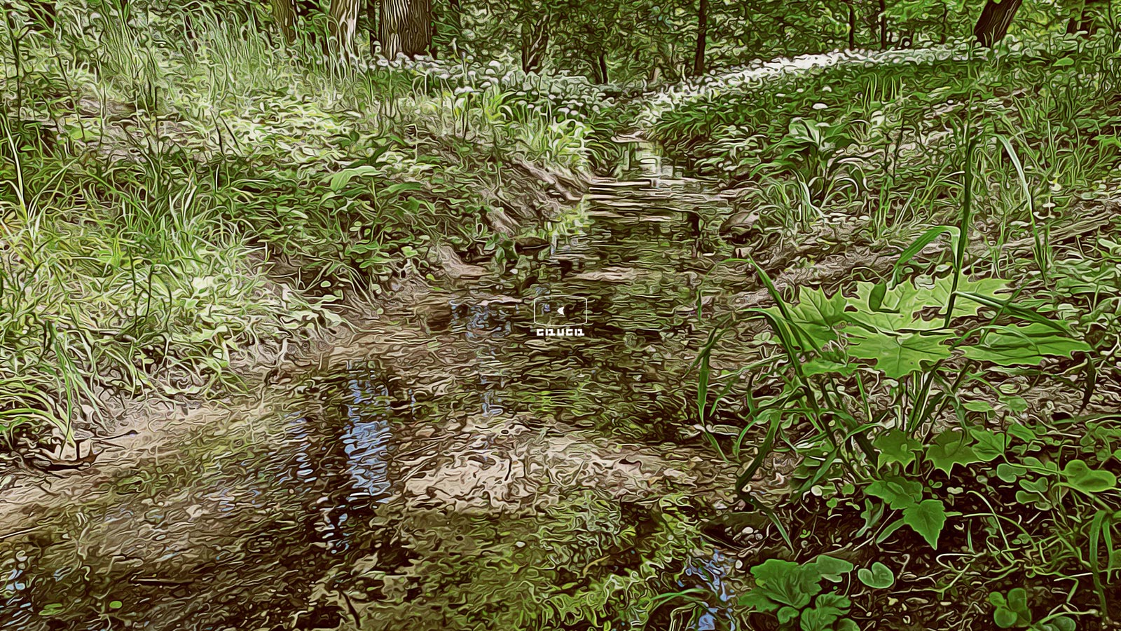 Ручейки парка Лазенки